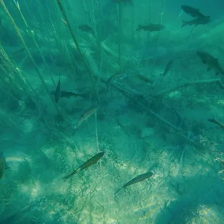 Amazing In With Wifi