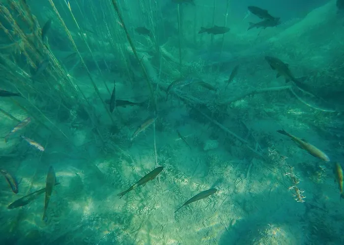 Amazing In With Wifi