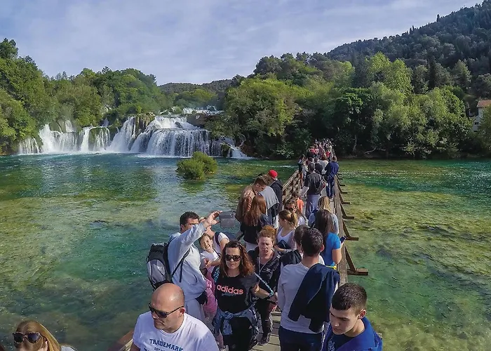 Amazing In With Wifi *